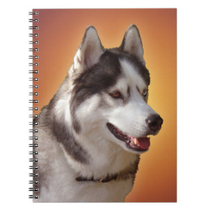 Caderno Espiral Notebook Rouco Siberian Husky Gifts & Books