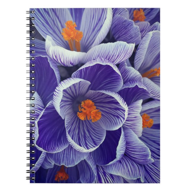 Caderno Espiral Notebook Roxo (Frente)