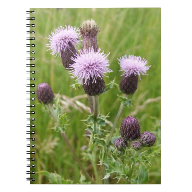 Caderno Espiral Notebook Roxo (Frente)