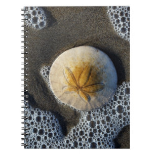 Caderno Espiral Notebook Sand Dollar e Surf Beach Photo Spiral