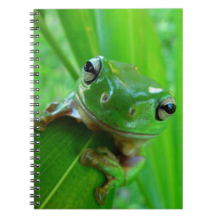 Caderno Espiral Notebook Sapo verde árvore