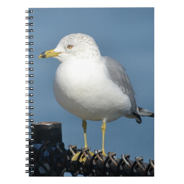 Caderno Espiral Notebook Seagull (Frente)