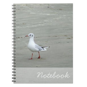 Caderno Espiral Notebook Seagulls