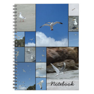 Caderno Espiral Notebook Seagulls