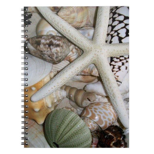 Caderno Espiral Notebook Seashells (Frente)