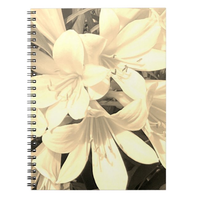 Caderno Espiral Notebook Sepia Blooms (Frente)