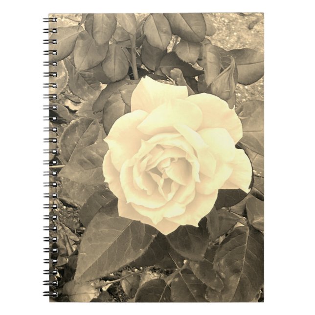 Caderno Espiral Notebook Sepia Rosa (Frente)