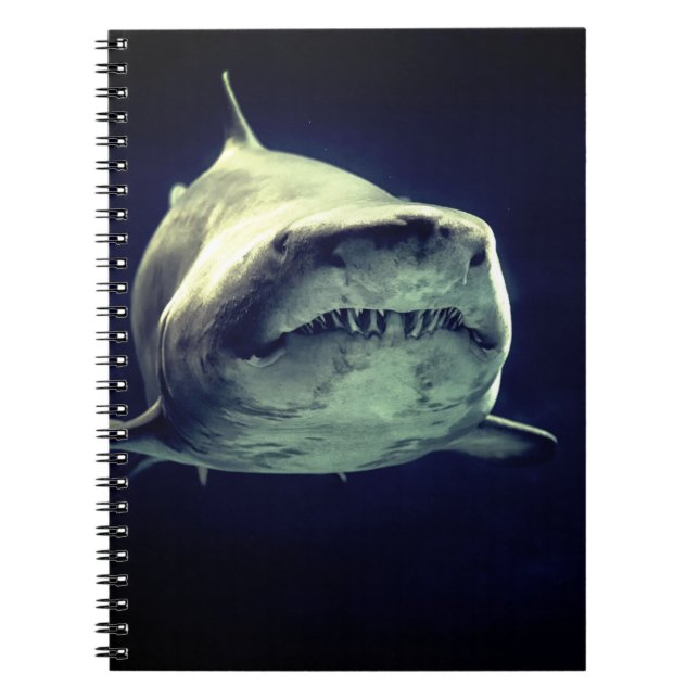 Caderno Espiral Notebook Shark (Frente)