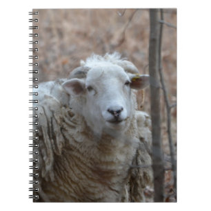 Caderno Espiral Notebook Sheep