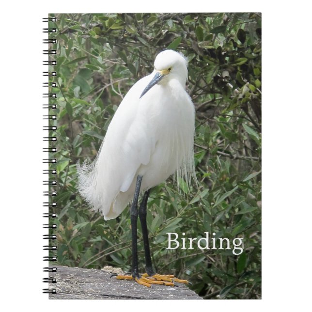 Caderno Espiral Notebook Snowy Egret Spiral Bound (Frente)