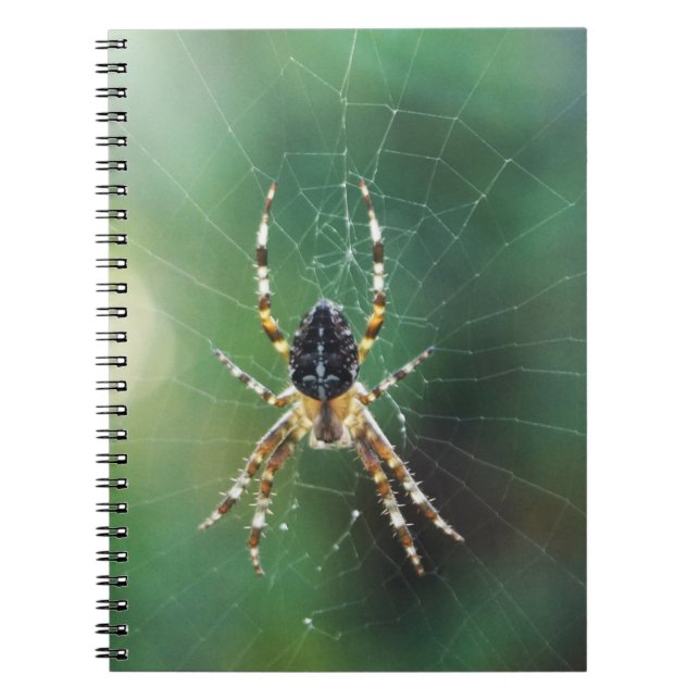 Caderno Espiral Notebook Spider Spider (80 Páginas B&W) (Frente)