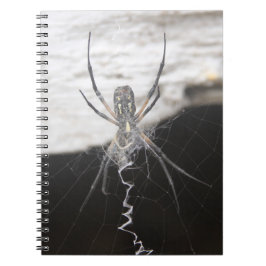 Caderno Espiral Notebook Spider Spiral