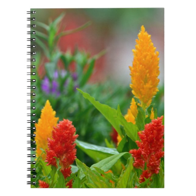 Caderno Espiral Notebook Sun Color Flower (Frente)