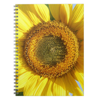 Caderno Espiral Notebook Sunflower