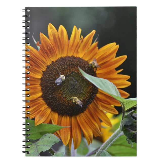 Caderno Espiral Notebook Sunflower (Frente)
