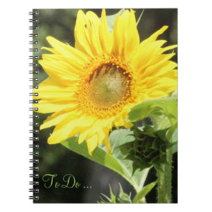 Caderno Espiral Notebook Sunflower