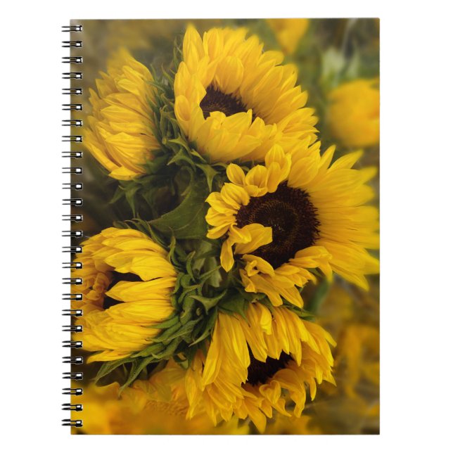 Caderno Espiral Notebook Sunflower Blur (Frente)