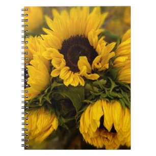 Caderno Espiral Notebook Sunflower Blur
