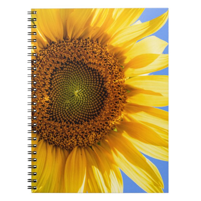 Caderno Espiral Notebook Sunflower Spiral (Frente)
