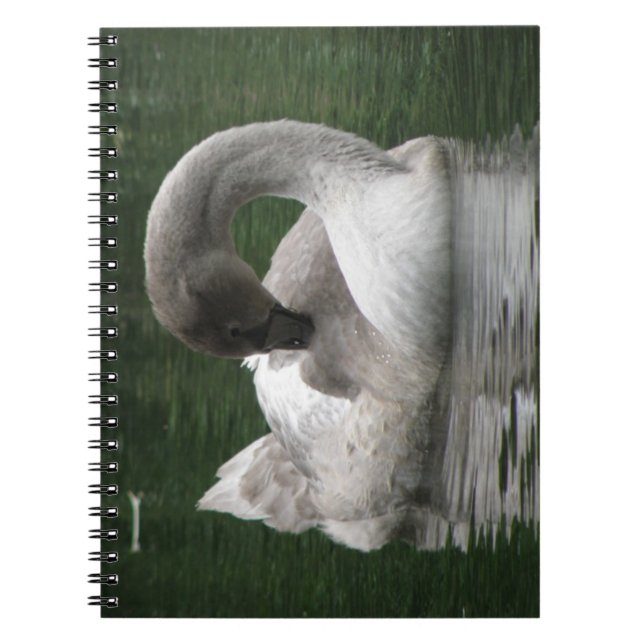 Caderno Espiral Notebook Swan Sonolento (Frente)
