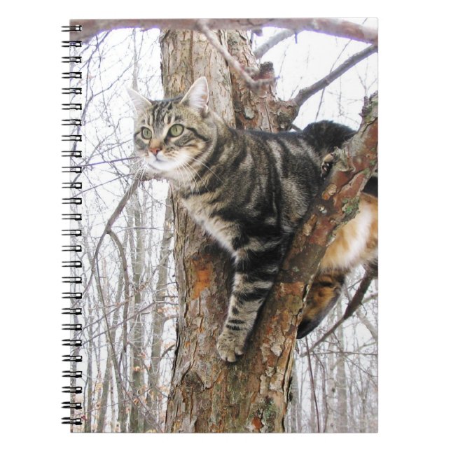 Caderno Espiral Notebook Tabby Cat (Frente)