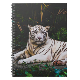 Caderno Espiral Notebook Tiger