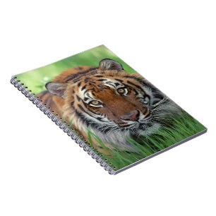 Caderno Espiral Notebook-Tiger