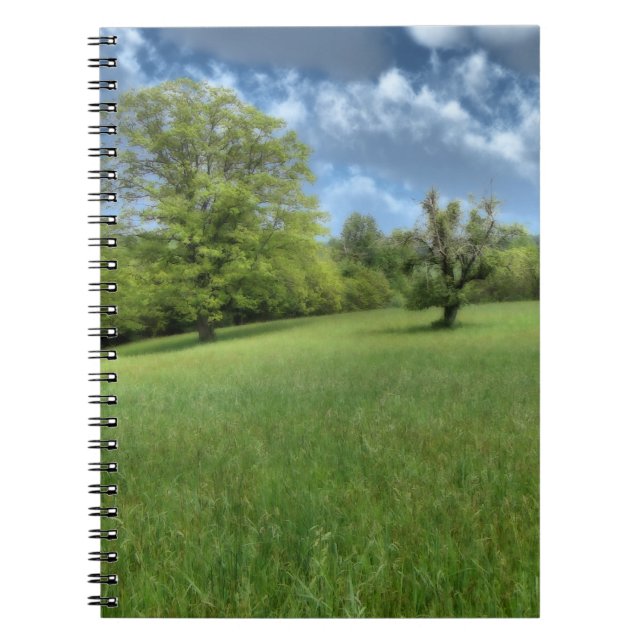 Caderno Espiral Notebook Verde Appalachian (Frente)