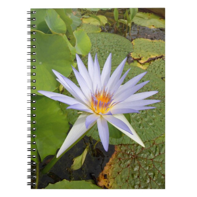 Caderno Espiral Notebook Water Lily (Frente)