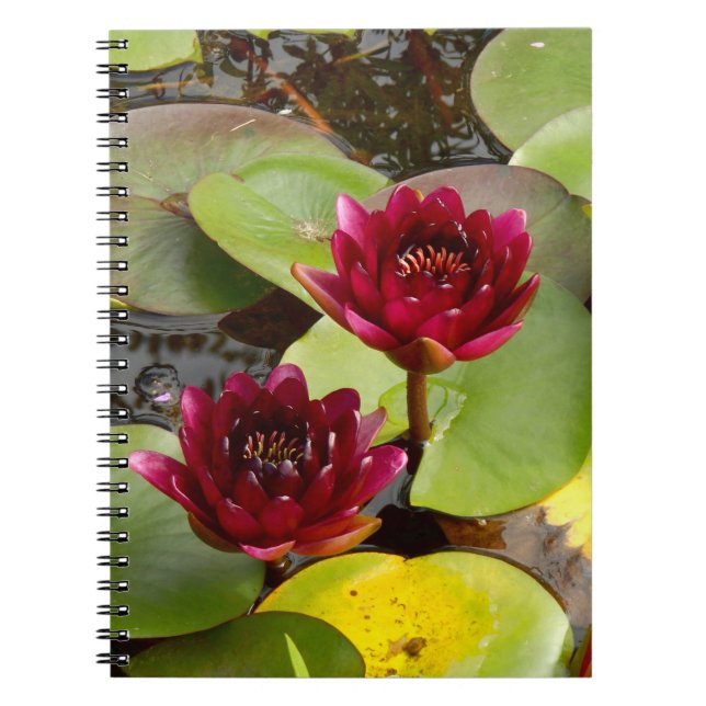 Caderno Espiral Notebook Water Lily (Frente)