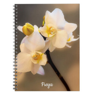 Caderno Espiral Notebook White Orchid Spiral