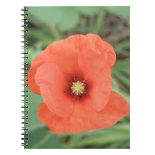 Caderno Espiral Notebook Wild Poppy Flower