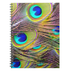 Caderno Espiral Notebooks com Penas 5