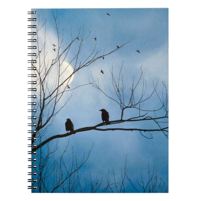 Caderno Espiral Nothing But Blues Skies (Frente)