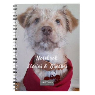 Caderno Espiral Notitieboekje