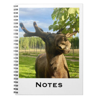 Caderno Espiral Notizbuch