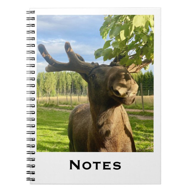 Caderno Espiral Notizbuch (Frente)