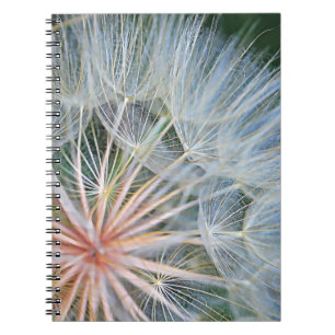 Caderno Espiral Novos Desejos