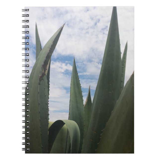 Caderno Espiral Nuvens Agave (Frente)