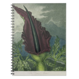 Caderno Espiral O Arum de dragão, gravado pela divisão, 'do Temp