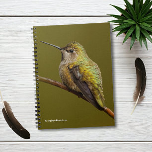 Caderno Espiral O beija-flor de Anna em Scarlet Trumpetvine
