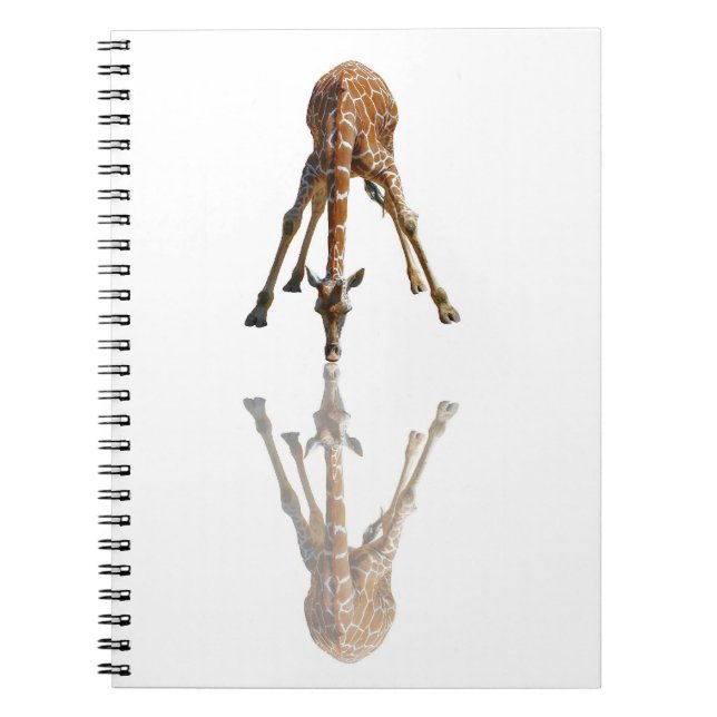 CADERNO ESPIRAL O BEIJO (Frente)