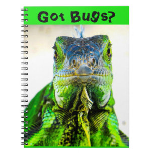 Caderno Espiral O Bloco De Notícias Escreve Iguana?