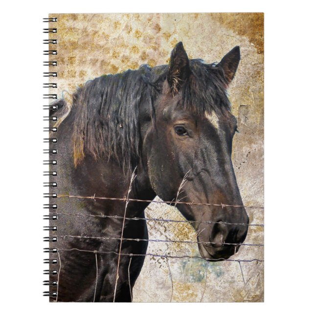 Caderno Espiral O Cavalo Gentil, Um Cavalo de Corda (Frente)