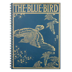 Caderno Espiral O cobrir azul do livro de aves-vintage