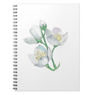 Caderno Espiral O companheiro perfeito: o melhor notebook para tod