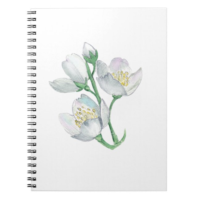 Caderno Espiral O companheiro perfeito: o melhor notebook para tod (Frente)