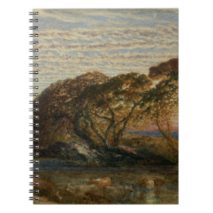Caderno Espiral O córrego sombrio