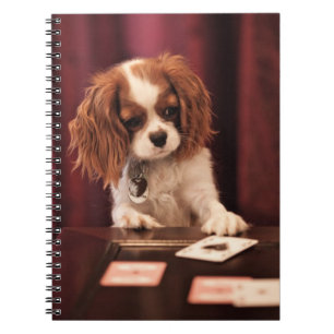 Caderno Espiral O filhote de cachorro joga cartões