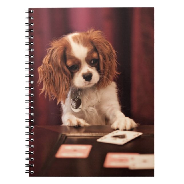 Caderno Espiral O filhote de cachorro joga cartões (Frente)